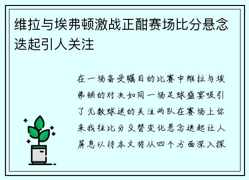 维拉与埃弗顿激战正酣赛场比分悬念迭起引人关注
